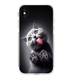 PrintiFy iPhone XS Max ile Uyumlu Kedi 2 Kamera Korumalı Şeffaf Kılıf