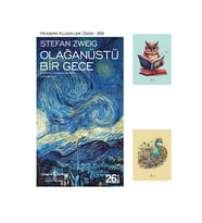 Olağanüstü Bir Gece 9786053326090 - Stefan Zweig - Not Defterli Seti (Renksiz)