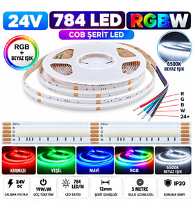 5 Metre 24V 784 Led 12 mm RGB+W RGB ve Beyaz Cob Şerit Led 5 Pin