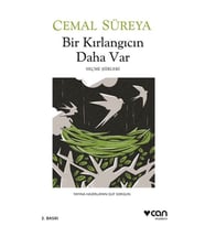 Bir Kırlangıcın Daha Var