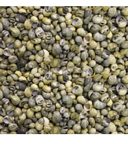 Mini Mongo Shell Kiloluk Deniz Kabuğu (1 KG)