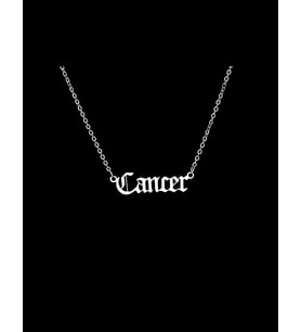 Gümüş  Yengeç Burcu Kolye