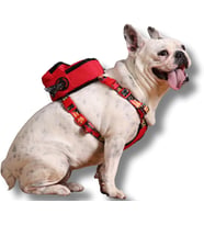 Design,Çantalı Göğüs Tasması, Köpek Sırt Çantası – 2’si 1 Arada Göğüs Tasması Fonksiyonlu, Ayarlanabilir, Küçük & Büyük Irklar için,Kırmızı, Large, Recycled