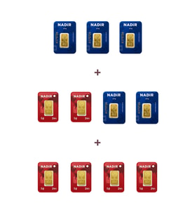 Nadir Gold 24 Ayar 18,5 Gram Külçe Altın (5 Adet 2,5 Gram Külçe Altın + 6 Adet 1 Gram Külçe Altın )