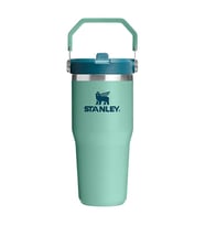 Stanley The IceFlow Flip Straw Pipetli Termos Bardak 0,41 LT Spring Green
