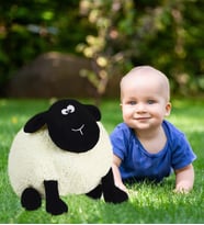 PABABO KOYUN SHAUN (%100 YERLİ)