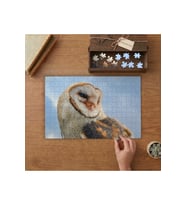 Peçeli Baykuş Tasarımı 240 parça Ahşap Puzzle Ahşap Kutuda MP05221