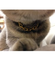 Paperclip Zincirli Gold Çelik Kedi Tasması/Aksesuarı  Meow Serisi