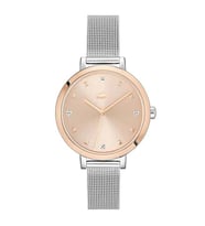 LACOSTE LAC2001414