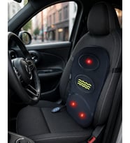 Araç Bel Masaj - Lisinya