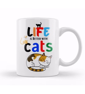Funny Cat Lover Gifts For   Men Kids Kupa Bardak Porselen