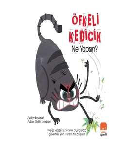 Öfkeli Kedicik Ne Yapsın?