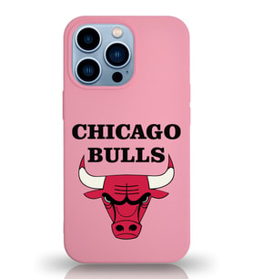 Apple iPhone 13 Pro Max  Lansman Kılıf Chicago Bulls Tasarımlı Altı Kapalı İçi Kadife Kaplı  Kapak (Şeffaf)
