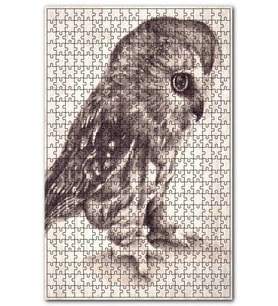 Cakapuzzle Siyah Bayaz Düşünen Baykuş Görseli Puzzle Yapboz MDF (Ahşap) (120 Parça)