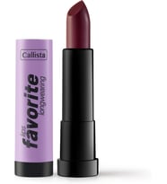 Lips Favorite Longwearing Lipstick Kalıcı Ruj 308 Vampy Like, Bordo