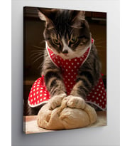 Kanvas Tablo Hamur Yoğuran Kedi