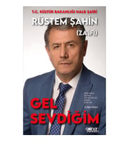 Gel Sevdiğim