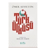 Türk Ülküsü