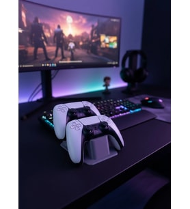 Antrasit İkili Gamepad Tutucu 7x18 Cm Masa Ve Raf Düzeni