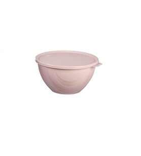 Moon Star Elegance Kapaklı Hava ve Koku Sızdırmaz Yemek Saklama Kabı 0,5 Litre-RBK-310