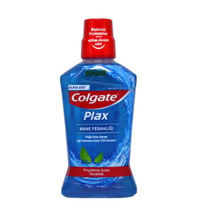 Northcity Nane Ferahlığı Ağız Suyu 500Ml 1 Adet