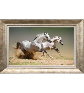 GÜMÜŞ ÇERÇEVELİ TABLO N496