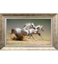 GÜMÜŞ ÇERÇEVELİ TABLO N496