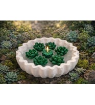 GREEN LOTUS-El Yapımı - hediyelik Sukulent Mum  Dekoratif Kase (Yeşil-Beyaz)