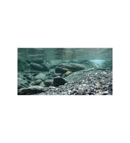 Kanki Pet KP10552031 Akvaryum Arka Fon Yapıştırma 105 x 52 CM