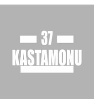 37 Kastamonu Araba Sticker siyah 16x9 CM (Beyaz)