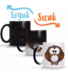 Owl Sihirli Kupa Bardak Porselen