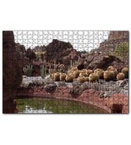 Cakapuzzle Yuvarlak Kaktüsler ve Kayalar  Puzzle Yapboz MDF (Ahşap) (120 Parça)