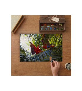 Rengarenk Papağanlar Tasarımı 240 parça Ahşap Puzzle Ahşap Kutuda MP04187
