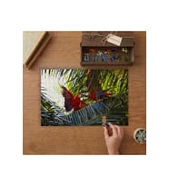 Rengarenk Papağanlar Tasarımı 240 parça Ahşap Puzzle Ahşap Kutuda MP04187