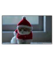 YILBAŞI KOSTÜMLÜ KEDİ KANVAS TABLO