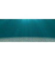 Kanki Pet KP1556506 Akvaryum Arka Fon Yapıştırma 155 x 65 CM