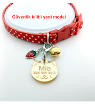 Güvenlik Kilitli İsimli Kedi Tasması İsim Künyesi İsimlik (Kırmızı)