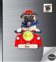 Kişiye Özel Sevimli Dostlarımız Köpek Ahşap Magnet -5