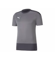 Puma Teamgoal 23 Training Jersey Erkek Futbol Formasi 65648213 Gri