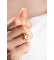 925 Ayar Gümüş Gold Zirkon Taşlı Kır Çiçeği Kolye