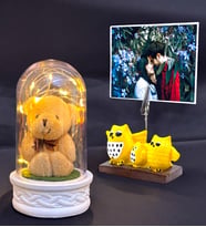 Size Özel Fotoğraf Baykuş & Işıklı Peluş Ayıcıklı Fanus  Sevgiliye Hediye  Arkadaşa Hediye