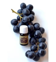 Üzüm Çekirdeği Yağı (GRAPE SEED OİL) -20 ml