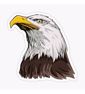 Araba için Kartal Oto Sticker Yapıştırması Etiket  17CM s2