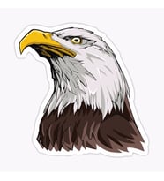 Araba için Kartal Oto Sticker Yapıştırması Etiket  17CM s2