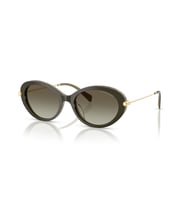 MICHAEL KORS  2245U 40193M 53-18 Kadın  Güneş Gözlüğü