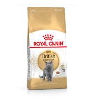 Royal Canin Adult British Shorthair Kedi Maması 4 Kg