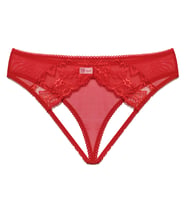 Fantezi İç Giyim Ağı Açık Kırmızı Dantelli  Fantazi G String İç Çamaşırı