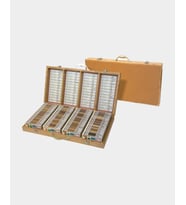 Wood Collection 100 Adet Dünya Ahşap Koleksiyonu