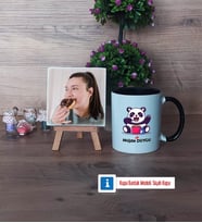 Sevimli Panda Fotoğraflı Dekoratif Taş, Kupa Bardak Beyaz Hediye (Model 11)