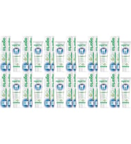 Agarta Doğal Diş Macunu 100ML Bitki Özlü (12 Li Set)